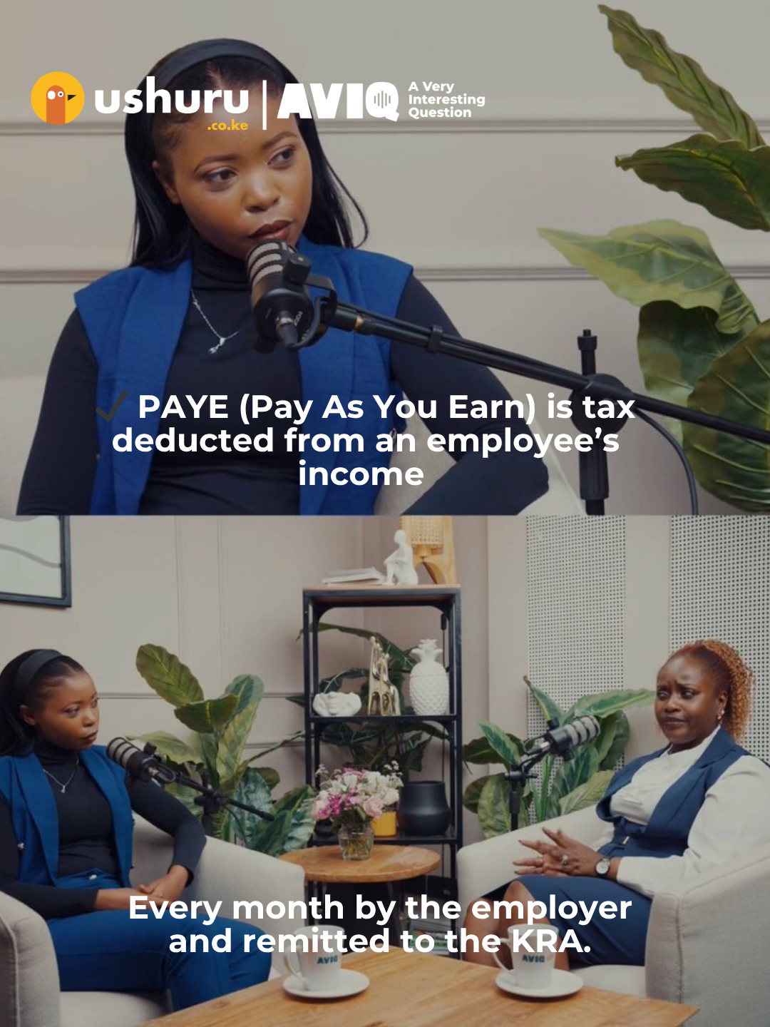 what is PAYE